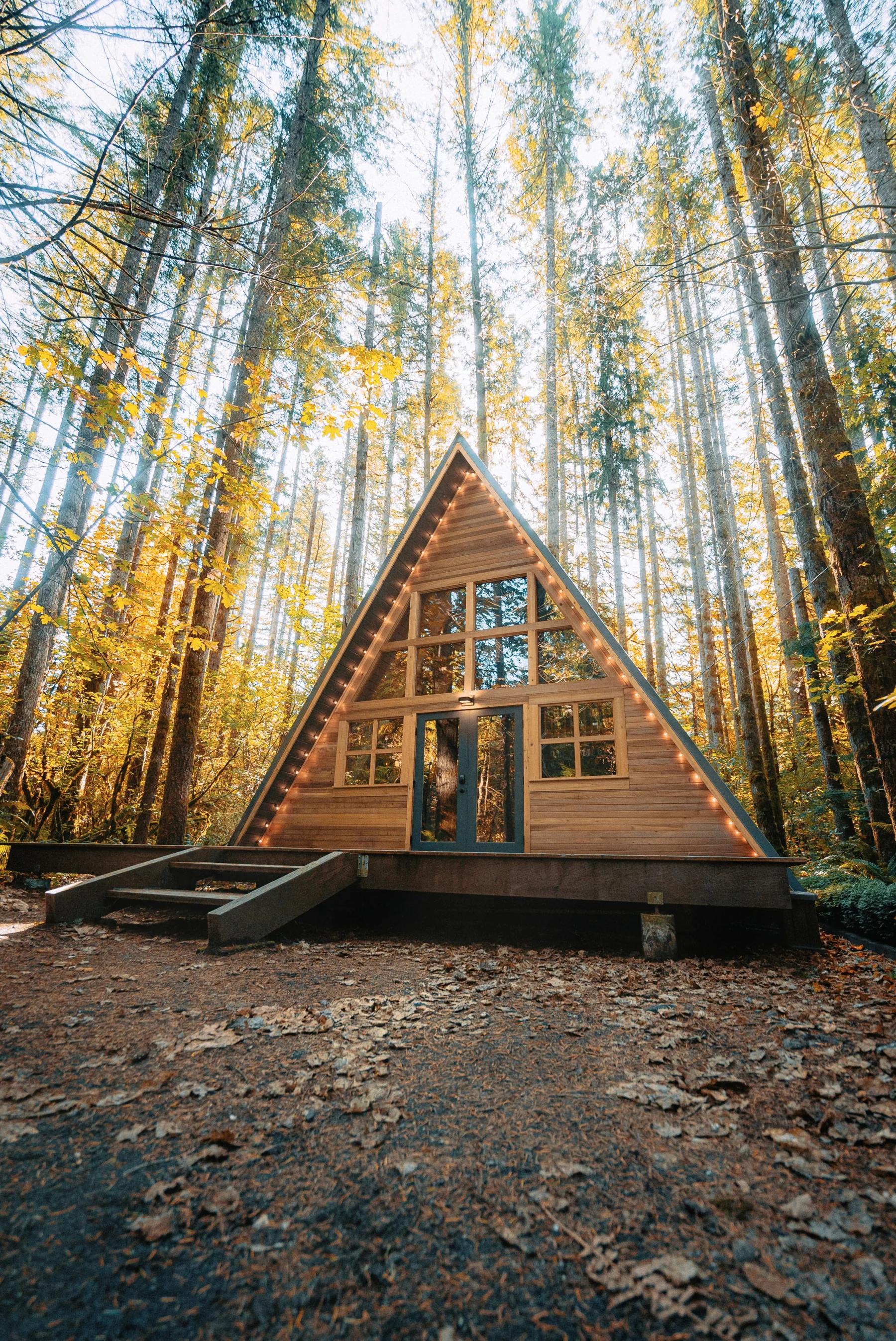 Refuge en bois à toit triangulaire dans une forêt d’automne éclairée par le soleil.